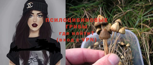 соль курить ск Арсеньев