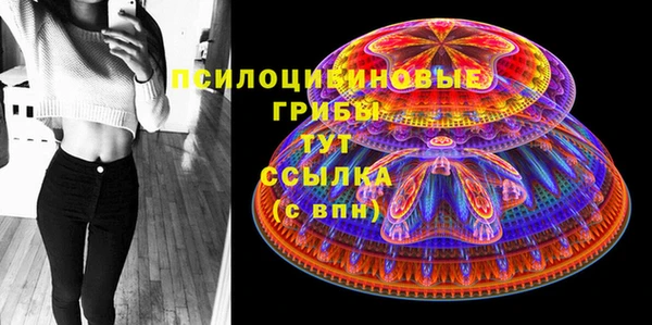соль курить ск Арсеньев