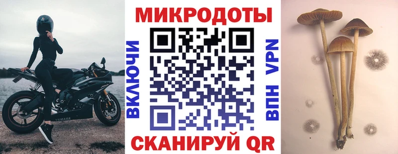 Псилоцибиновые грибы мухоморы  mega как зайти  Медногорск 